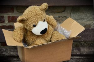 A bear in a box.