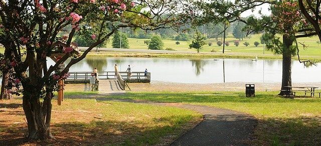 Park with trees, flowers, benches and a lake. 