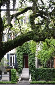 a beautiful house in Savannah