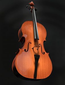 cello waiting for packing musical equipment
