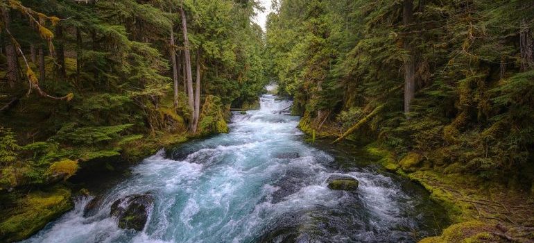 You will be able to rest on the banks of McKenzie river after swift relocation with long distance movers Oregon.