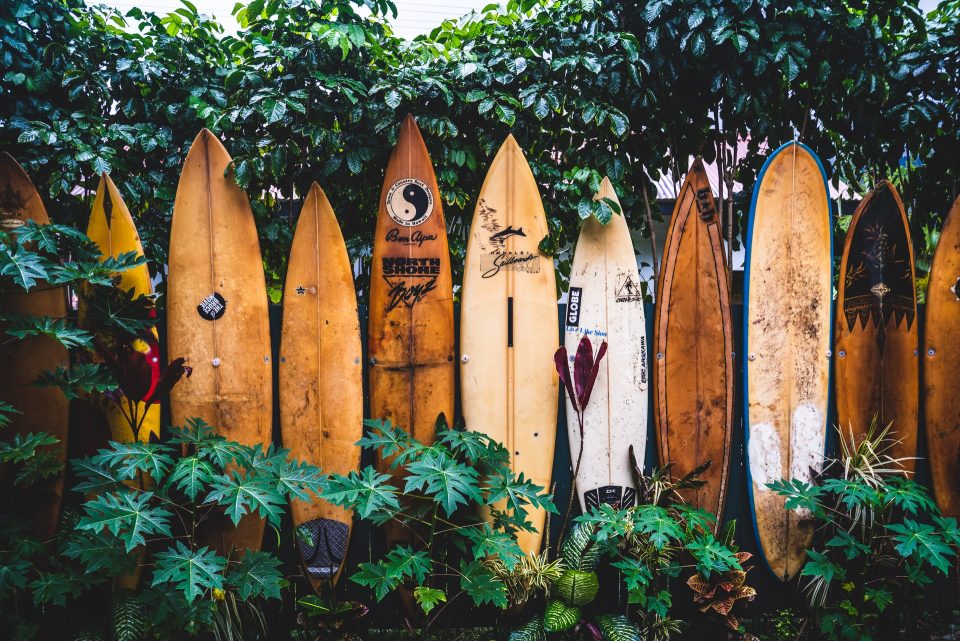 Fence made of surfing boards