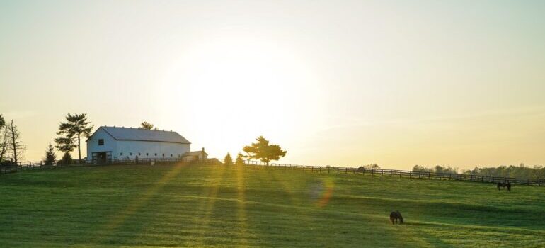 A farm in Kentucky at dawn.