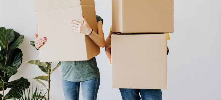 best cross country movers Southaven carrying cardboard boxes