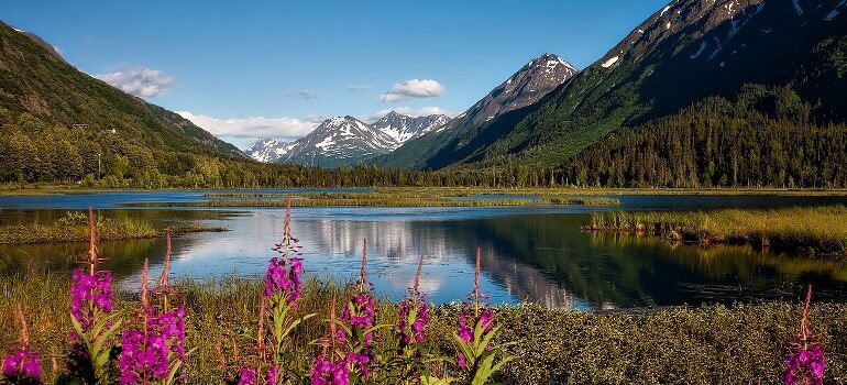 Chugach National Forest , Alaska