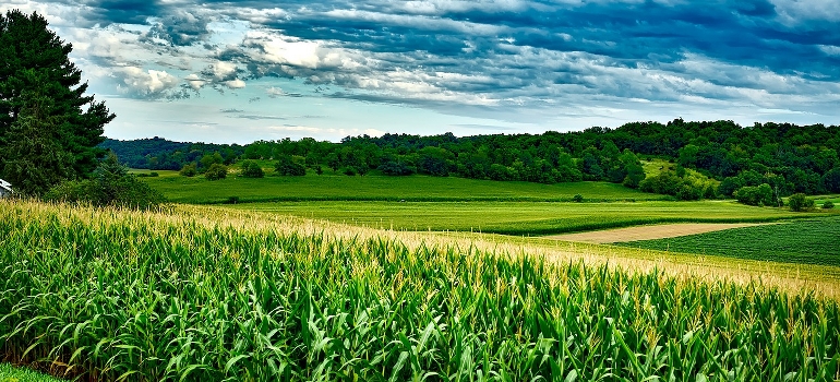 green fields in one of the top USA states to move to