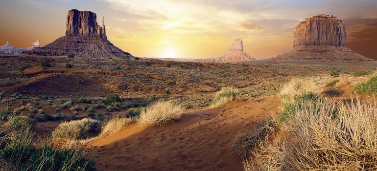 view of Arizona desert