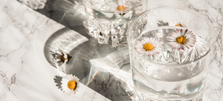 Glasses with water and chamomile flowers - summer moving tips to stay hydrated. 