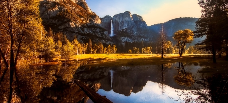 a picture of a forest near a body of water in the Yosemite National Park