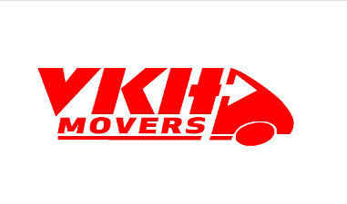 v company logo