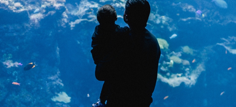 Kid and dad watching fishes in aquarium
