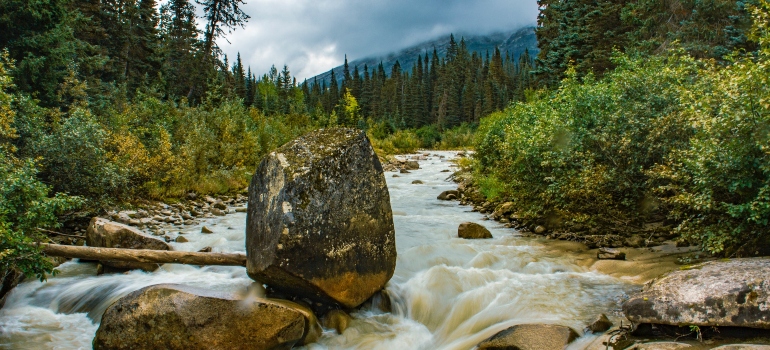 You will see great rivers and nature when moving to Alaska
