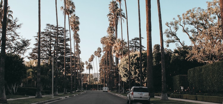 Streets of LA.