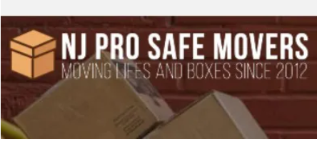 NJ ProSafe Movers company logo