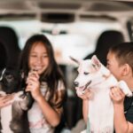 Siblings and their dogs in the back of a van - excited about challenges of a cross country move with pets or children