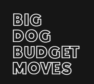 Big Dog Budget Moves company logo