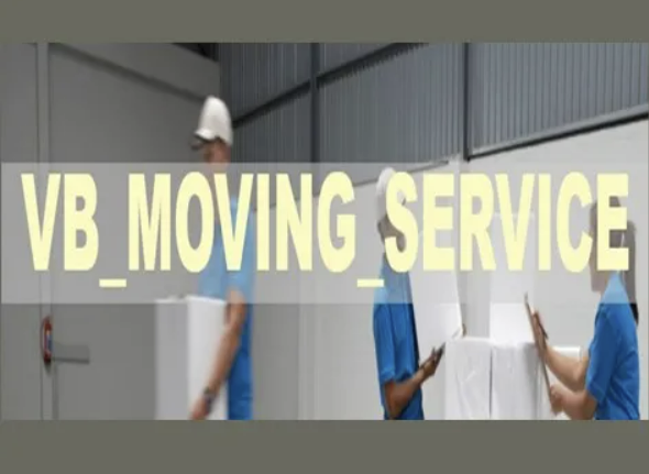 VB Moving Service company logo