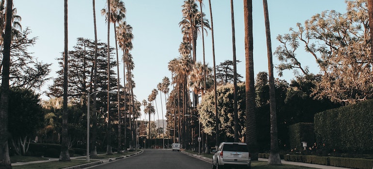 A street and trees in Santa Clara CA